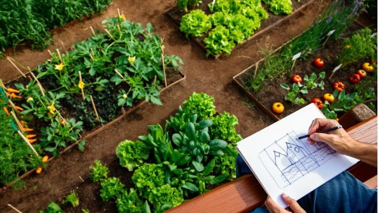 Jardinier faisant son plan de potager